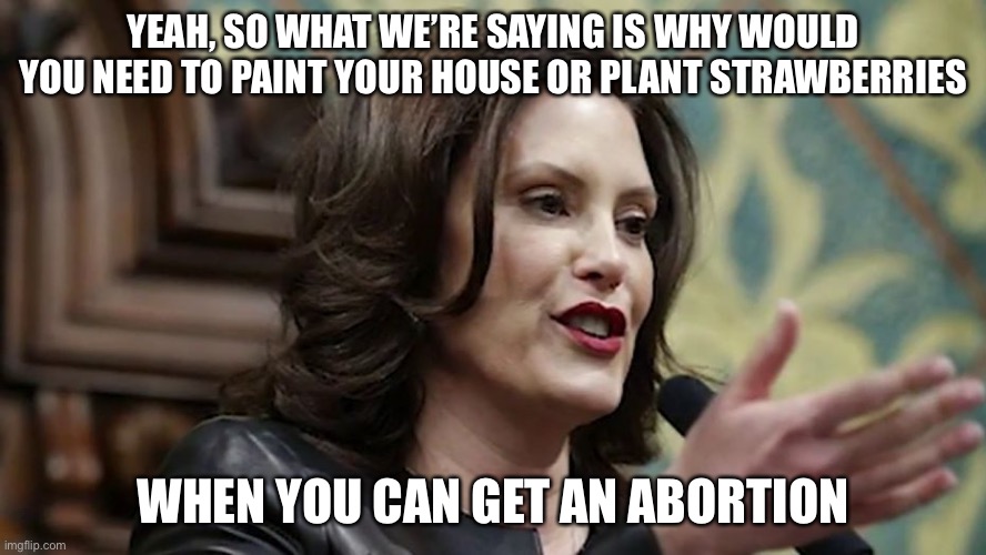 Michigan Governor | YEAH, SO WHAT WE’RE SAYING IS WHY WOULD YOU NEED TO PAINT YOUR HOUSE OR PLANT STRAWBERRIES; WHEN YOU CAN GET AN ABORTION | image tagged in funny | made w/ Imgflip meme maker