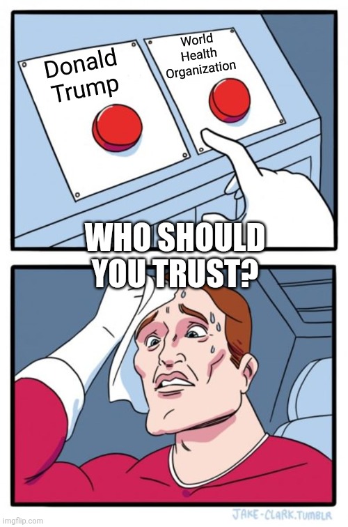 Two Buttons Meme | World 
Health 
Organization; Donald 
Trump; WHO SHOULD YOU TRUST? | image tagged in memes,two buttons | made w/ Imgflip meme maker