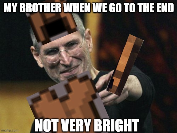 stick | MY BROTHER WHEN WE GO TO THE END; NOT VERY BRIGHT | image tagged in memes,steve jobs | made w/ Imgflip meme maker