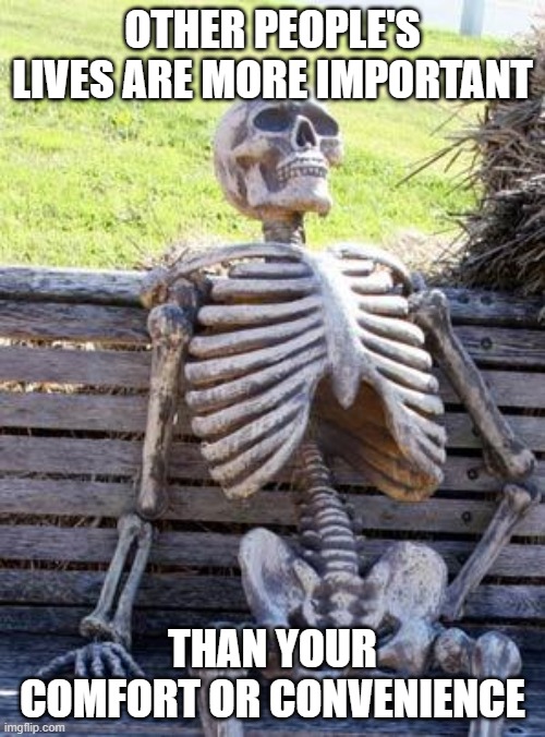 People's lives | OTHER PEOPLE'S LIVES ARE MORE IMPORTANT; THAN YOUR COMFORT OR CONVENIENCE | image tagged in memes,waiting skeleton | made w/ Imgflip meme maker