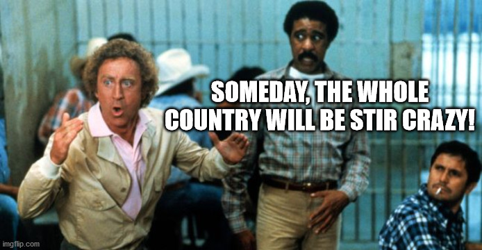 stir crazy | SOMEDAY, THE WHOLE COUNTRY WILL BE STIR CRAZY! | image tagged in richard pryor,gene wilder | made w/ Imgflip meme maker