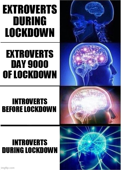 expanding brain during rona lockdown | EXTROVERTS DURING LOCKDOWN; EXTROVERTS DAY 9000 OF LOCKDOWN; INTROVERTS BEFORE LOCKDOWN; INTROVERTS DURING LOCKDOWN | image tagged in memes,expanding brain | made w/ Imgflip meme maker