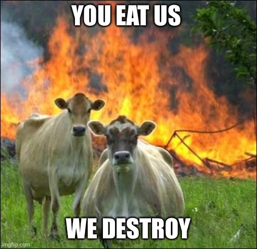 Evil Cows Meme | YOU EAT US; WE DESTROY | image tagged in memes,evil cows | made w/ Imgflip meme maker