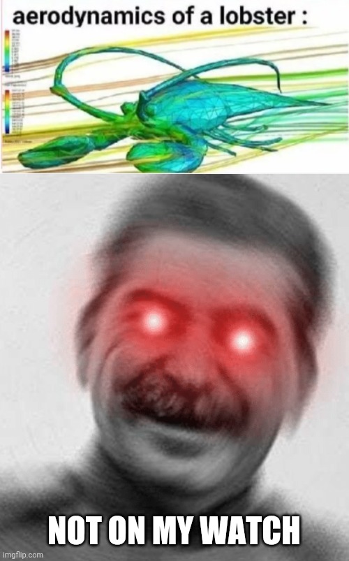 NOT ON MY WATCH | image tagged in stalin with red eyes,aerodynamics of a lobster | made w/ Imgflip meme maker