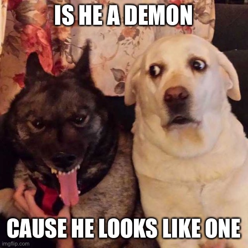 worried at evil dog | IS HE A DEMON; CAUSE HE LOOKS LIKE ONE | image tagged in worried at evil dog | made w/ Imgflip meme maker