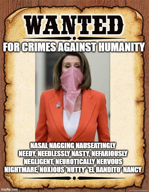 wanted poster | FOR CRIMES AGAINST HUMANITY; NASAL NAGGING NAUSEATINGLY NEEDY, NEEDLESSLY NASTY, NEFARIOUSLY NEGLIGENT, NEUROTICALLY NERVOUS NIGHTMARE, NOXIOUS 'NUTTY' 'EL BANDITO' NANCY | image tagged in wanted poster | made w/ Imgflip meme maker