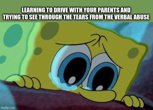 crying spongebob | LEARNING TO DRIVE WITH YOUR PARENTS AND TRYING TO SEE THROUGH THE TEARS FROM THE VERBAL ABUSE | image tagged in crying spongebob | made w/ Imgflip meme maker