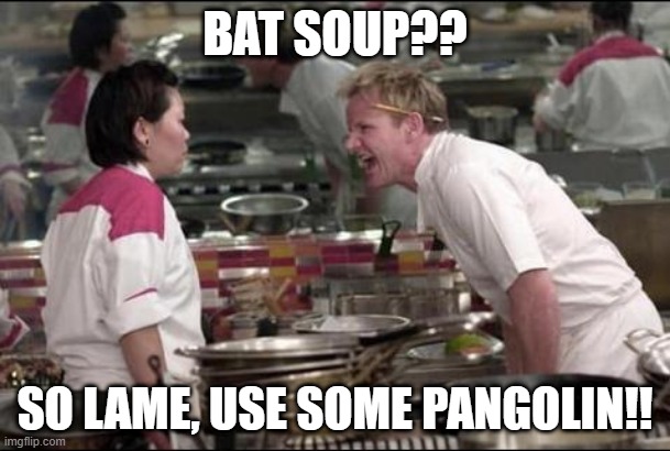 Angry Chef Gordon Ramsay | BAT SOUP?? SO LAME, USE SOME PANGOLIN!! | image tagged in memes,angry chef gordon ramsay | made w/ Imgflip meme maker