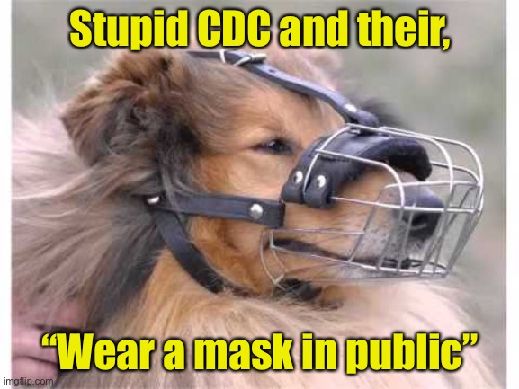 It’s to protect others from you | Stupid CDC and their, “Wear a mask in public” | image tagged in muzzle,face mask,covid-19,coronavirus | made w/ Imgflip meme maker
