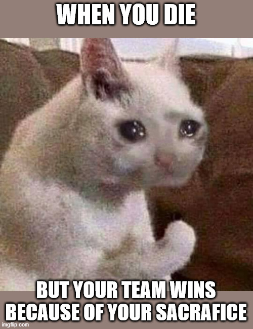 Sad but proud cat | WHEN YOU DIE; BUT YOUR TEAM WINS BECAUSE OF YOUR SACRAFICE | image tagged in sad but proud cat | made w/ Imgflip meme maker