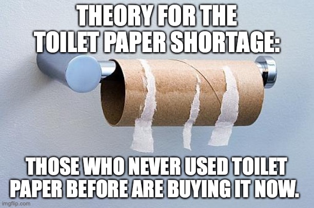What if toilet paper shortage is just because people cannot go outside now?!! | THEORY FOR THE TOILET PAPER SHORTAGE:; THOSE WHO NEVER USED TOILET PAPER BEFORE ARE BUYING IT NOW. | image tagged in no more toilet paper,coronavirus,grossed out,disgusting | made w/ Imgflip meme maker