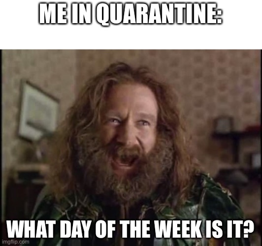 What Day is it? | ME IN QUARANTINE:; WHAT DAY OF THE WEEK IS IT? | image tagged in quarantine,coronavirus,covid-19 | made w/ Imgflip meme maker
