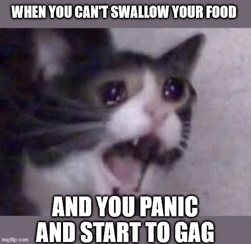 Cat Cry | WHEN YOU CAN'T SWALLOW YOUR FOOD; AND YOU PANIC AND START TO GAG | image tagged in cat cry | made w/ Imgflip meme maker