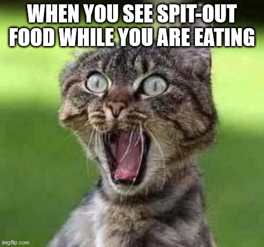 scared cat | WHEN YOU SEE SPIT-OUT FOOD WHILE YOU ARE EATING | image tagged in scared cat | made w/ Imgflip meme maker