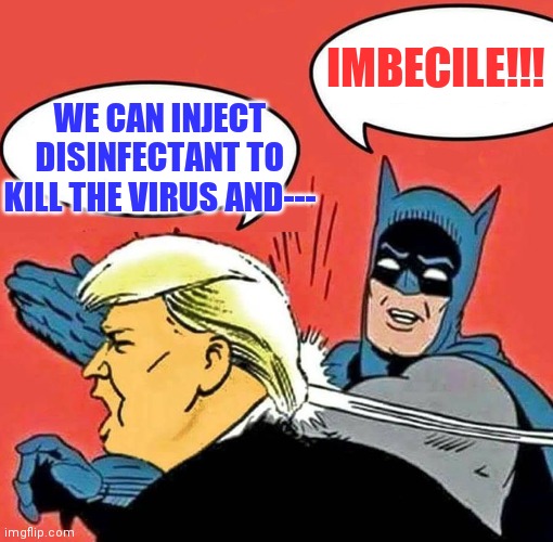 Batman Slapping Trump | IMBECILE!!! WE CAN INJECT DISINFECTANT TO KILL THE VIRUS AND--- | image tagged in batman slapping trump | made w/ Imgflip meme maker