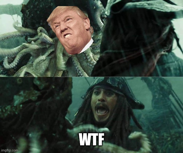 Davy Jones and Jack Sparrow | WTF | image tagged in davy jones and jack sparrow | made w/ Imgflip meme maker