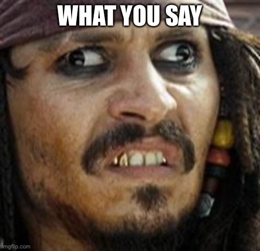 Jack Sparrow WAT | WHAT YOU SAY | image tagged in jack sparrow wat | made w/ Imgflip meme maker