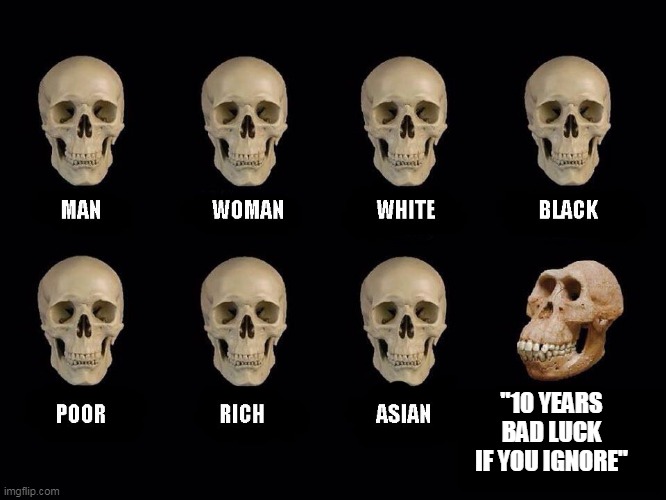 empty skulls of truth |  "10 YEARS BAD LUCK IF YOU IGNORE" | image tagged in empty skulls of truth | made w/ Imgflip meme maker