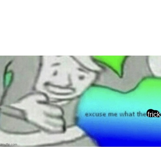 Excuse me wtf blank template | frick | image tagged in excuse me wtf blank template | made w/ Imgflip meme maker