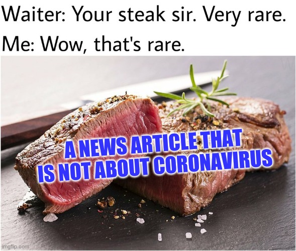 rare steak meme | A NEWS ARTICLE THAT IS NOT ABOUT CORONAVIRUS | image tagged in rare steak meme | made w/ Imgflip meme maker