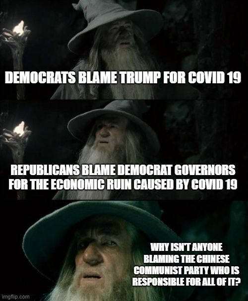Chinese Virus | DEMOCRATS BLAME TRUMP FOR COVID 19; REPUBLICANS BLAME DEMOCRAT GOVERNORS FOR THE ECONOMIC RUIN CAUSED BY COVID 19; WHY ISN'T ANYONE BLAMING THE CHINESE COMMUNIST PARTY WHO IS RESPONSIBLE FOR ALL OF IT? | image tagged in memes,confused gandalf,covid-19,corona virus | made w/ Imgflip meme maker