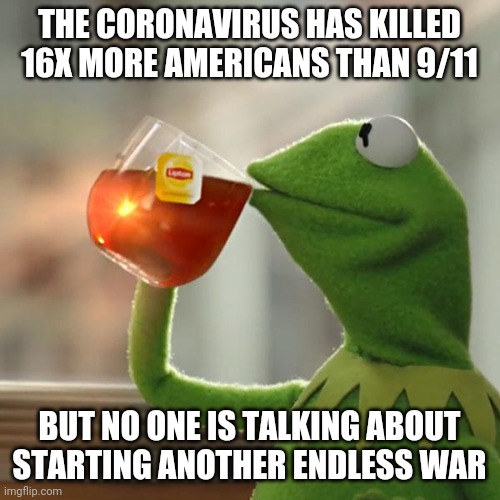 But That's None Of My Business | THE CORONAVIRUS HAS KILLED 16X MORE AMERICANS THAN 9/11; BUT NO ONE IS TALKING ABOUT STARTING ANOTHER ENDLESS WAR | image tagged in memes,but that's none of my business,kermit the frog | made w/ Imgflip meme maker