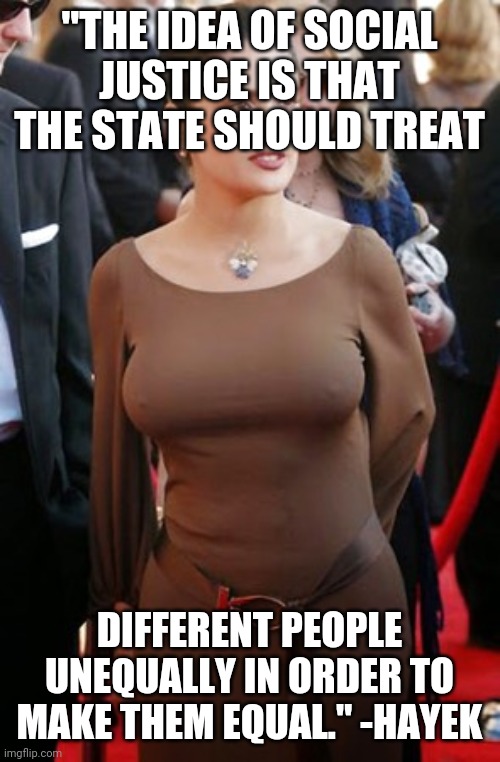 Hayek | "THE IDEA OF SOCIAL JUSTICE IS THAT THE STATE SHOULD TREAT; DIFFERENT PEOPLE UNEQUALLY IN ORDER TO MAKE THEM EQUAL." -HAYEK | image tagged in politics,funny | made w/ Imgflip meme maker