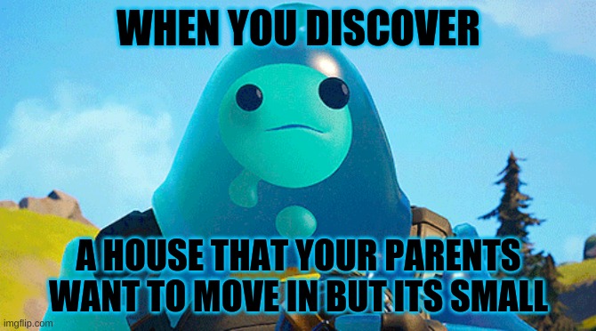 Wow, just wow | WHEN YOU DISCOVER; A HOUSE THAT YOUR PARENTS WANT TO MOVE IN BUT ITS SMALL | image tagged in fortnite,water,dissapointed,game | made w/ Imgflip meme maker