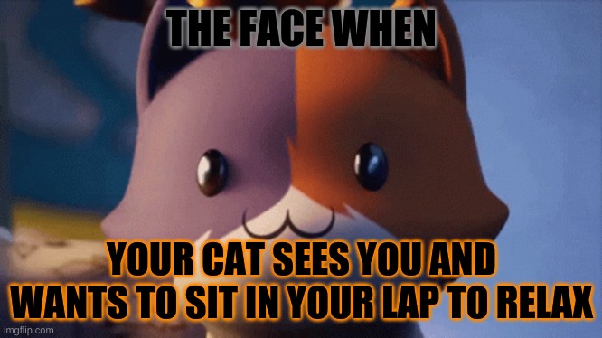 Your cat 2.0 | THE FACE WHEN; YOUR CAT SEES YOU AND WANTS TO SIT IN YOUR LAP TO RELAX | image tagged in cats,fortnite,game,cuteness,cute faces | made w/ Imgflip meme maker