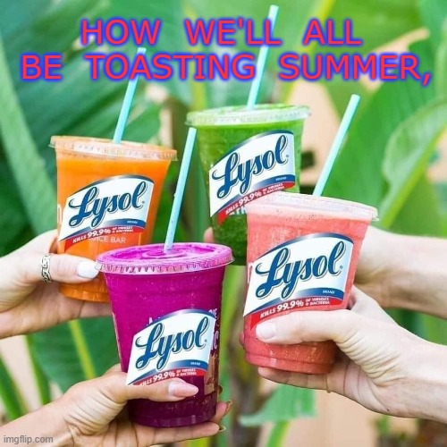 Virus | HOW  WE'LL  ALL  BE  TOASTING  SUMMER, | image tagged in lysol,meme | made w/ Imgflip meme maker