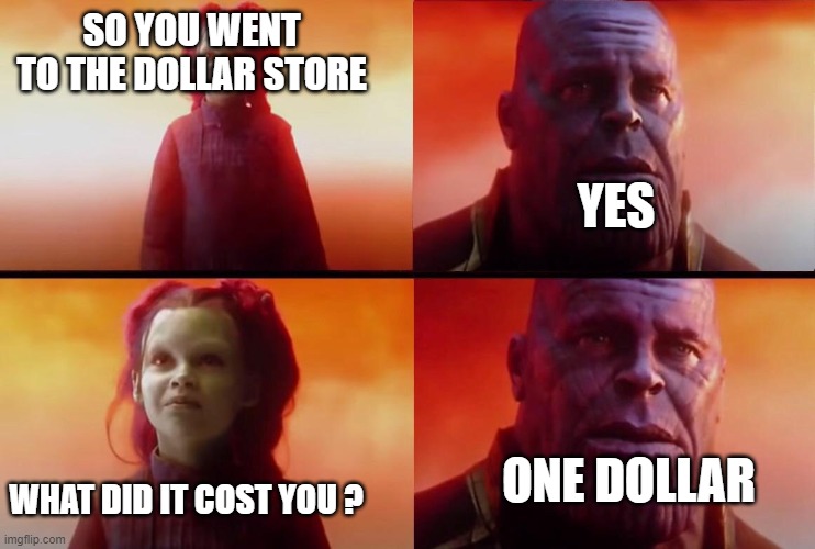 What did it cost? | SO YOU WENT TO THE DOLLAR STORE; YES; ONE DOLLAR; WHAT DID IT COST YOU ? | image tagged in what did it cost | made w/ Imgflip meme maker