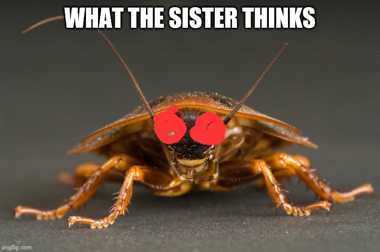 Cockroach | WHAT THE SISTER THINKS | image tagged in cockroach | made w/ Imgflip meme maker