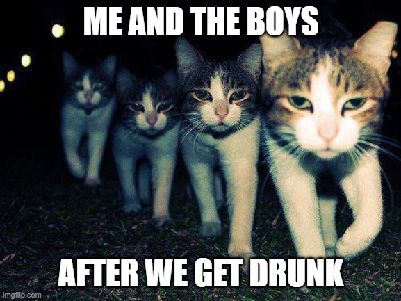 can youh hand meh anotherrre? | ME AND THE BOYS; AFTER WE GET DRUNK | image tagged in memes,wrong neighboorhood cats | made w/ Imgflip meme maker