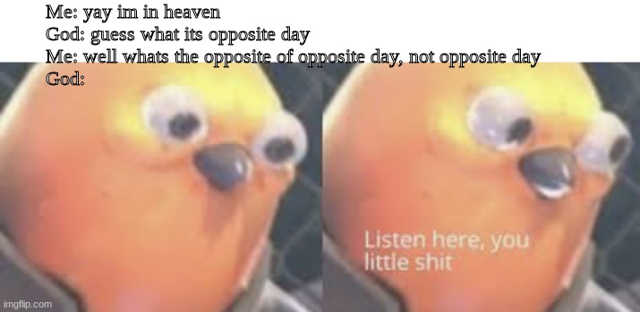 Reverse card | Me: yay im in heaven
God: guess what its opposite day
Me: well whats the opposite of opposite day, not opposite day
God: | image tagged in listen here you little shit bird | made w/ Imgflip meme maker