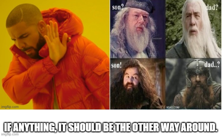 IF ANYTHING, IT SHOULD BE THE OTHER WAY AROUND. | image tagged in drake hotline bling,lotr,harry potter | made w/ Imgflip meme maker