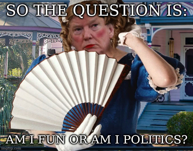 why else would there be a flag | SO THE QUESTION IS:; AM I FUN OR AM I POLITICS? | image tagged in southern belle trumpette | made w/ Imgflip meme maker