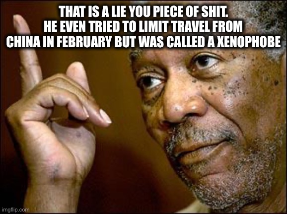 This Morgan Freeman | THAT IS A LIE YOU PIECE OF SHIT. HE EVEN TRIED TO LIMIT TRAVEL FROM CHINA IN FEBRUARY BUT WAS CALLED A XENOPHOBE | image tagged in this morgan freeman | made w/ Imgflip meme maker