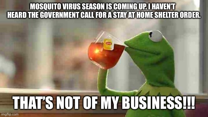 Mosquito virus stay at home order!!! | MOSQUITO VIRUS SEASON IS COMING UP. I HAVEN’T   HEARD THE GOVERNMENT CALL FOR A STAY AT HOME SHELTER ORDER. THAT’S NOT OF MY BUSINESS!!! | image tagged in kermit sipping tea | made w/ Imgflip meme maker