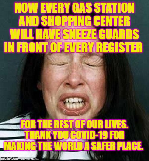 the sneeze | NOW EVERY GAS STATION AND SHOPPING CENTER WILL HAVE SNEEZE GUARDS IN FRONT OF EVERY REGISTER; FOR THE REST OF OUR LIVES. THANK YOU COVID-19 FOR MAKING THE WORLD A SAFER PLACE. | image tagged in the sneeze | made w/ Imgflip meme maker