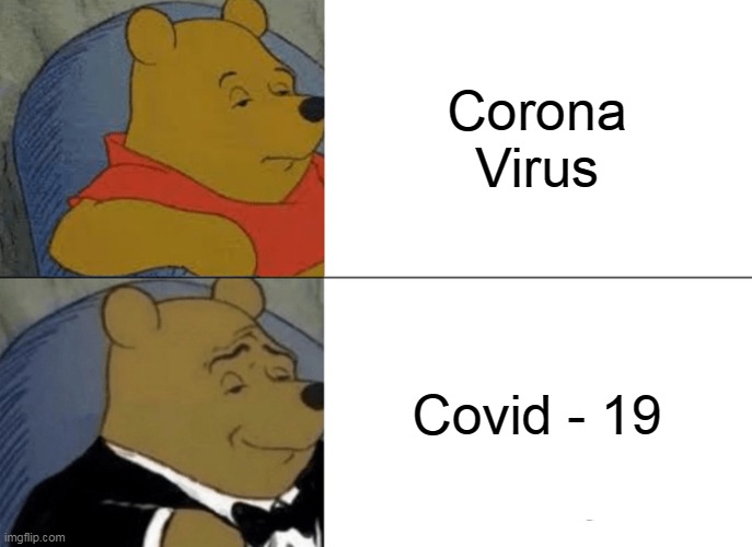 Tuxedo Winnie The Pooh Meme | Corona Virus; Covid - 19 | image tagged in memes,tuxedo winnie the pooh | made w/ Imgflip meme maker