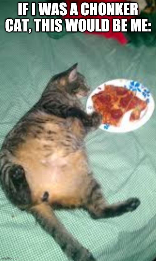 Because I Love And I'm Addicted To Pizza | IF I WAS A CHONKER CAT, THIS WOULD BE ME: | made w/ Imgflip meme maker