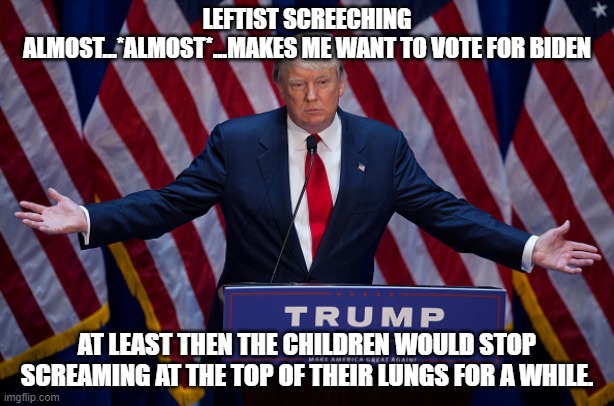 Time For The Left To Have Some Nyquil... | LEFTIST SCREECHING ALMOST...*ALMOST*...MAKES ME WANT TO VOTE FOR BIDEN; AT LEAST THEN THE CHILDREN WOULD STOP SCREAMING AT THE TOP OF THEIR LUNGS FOR A WHILE. | image tagged in donald trump | made w/ Imgflip meme maker