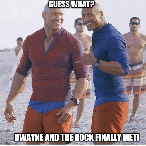 Dwayne and the rock Johnson meet | GUESS WHAT? DWAYNE AND THE ROCK FINALLY MET! | image tagged in dwayne johnson,the rock,twins,baldi | made w/ Imgflip meme maker