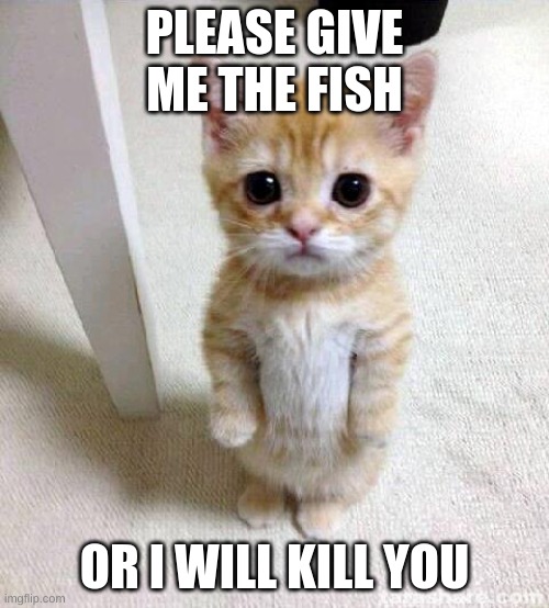 Cute Cat Meme | PLEASE GIVE ME THE FISH; OR I WILL KILL YOU | image tagged in memes,cute cat | made w/ Imgflip meme maker