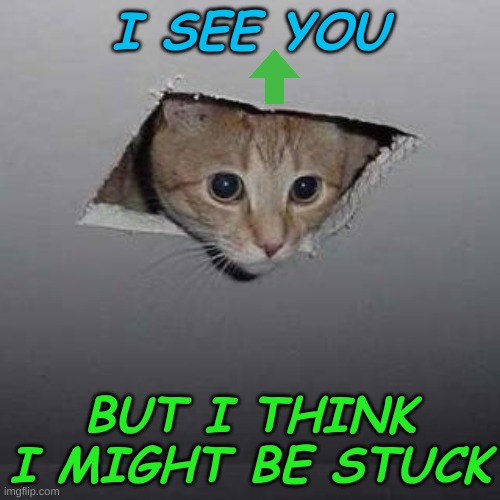 Ceiling Cat | I SEE YOU; BUT I THINK I MIGHT BE STUCK | image tagged in memes,ceiling cat | made w/ Imgflip meme maker