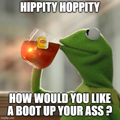 But That's None Of My Business Meme | HIPPITY HOPPITY HOW WOULD YOU LIKE A BOOT UP YOUR ASS ? | image tagged in memes,but that's none of my business,kermit the frog | made w/ Imgflip meme maker