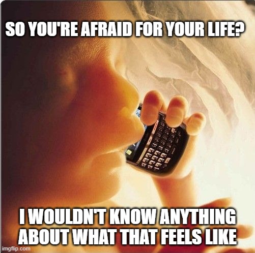 Baby in womb on cell phone - fetus blackberry | SO YOU'RE AFRAID FOR YOUR LIFE? I WOULDN'T KNOW ANYTHING ABOUT WHAT THAT FEELS LIKE | image tagged in baby in womb on cell phone - fetus blackberry | made w/ Imgflip meme maker