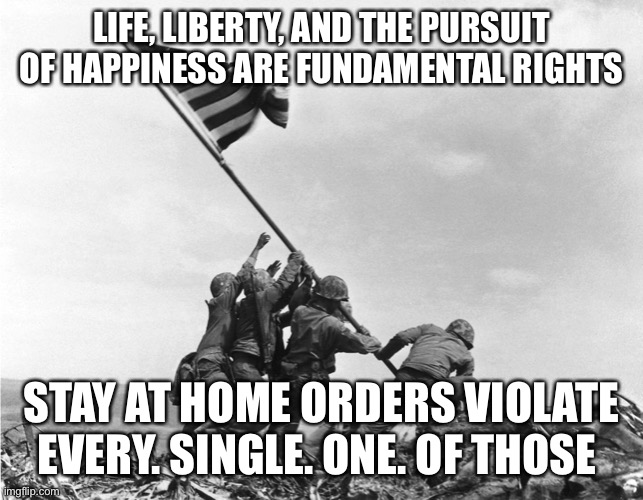 Reopen America | LIFE, LIBERTY, AND THE PURSUIT OF HAPPINESS ARE FUNDAMENTAL RIGHTS; STAY AT HOME ORDERS VIOLATE EVERY. SINGLE. ONE. OF THOSE | image tagged in freedom | made w/ Imgflip meme maker