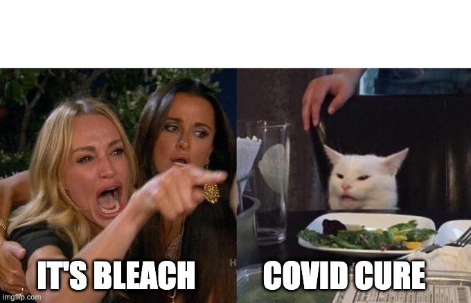 Woman Yelling At Cat Meme | IT'S BLEACH; COVID CURE | image tagged in memes,woman yelling at cat,covid | made w/ Imgflip meme maker