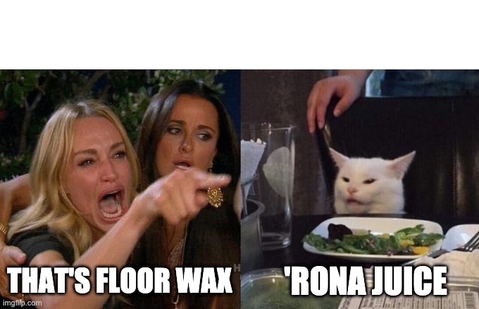 Woman Yelling At Cat | THAT'S FLOOR WAX; 'RONA JUICE | image tagged in memes,woman yelling at cat,corona | made w/ Imgflip meme maker